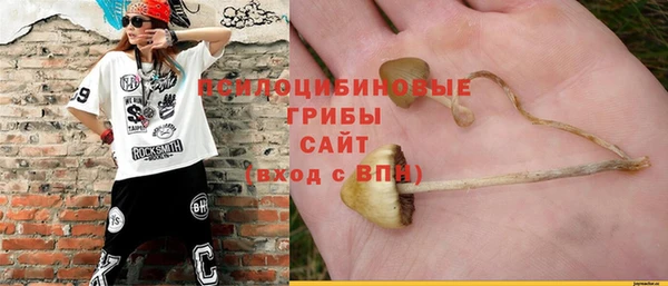 СК Бородино